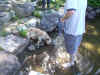 2006-06-24 Hobbes at the cottage 004.jpg (1296122 bytes)