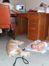 2006-09-10 - Thomas, Derek, & Hobbes.jpg (1008464 bytes)