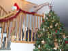 Dec. 10 decorating tree 017.jpg (82209 bytes)